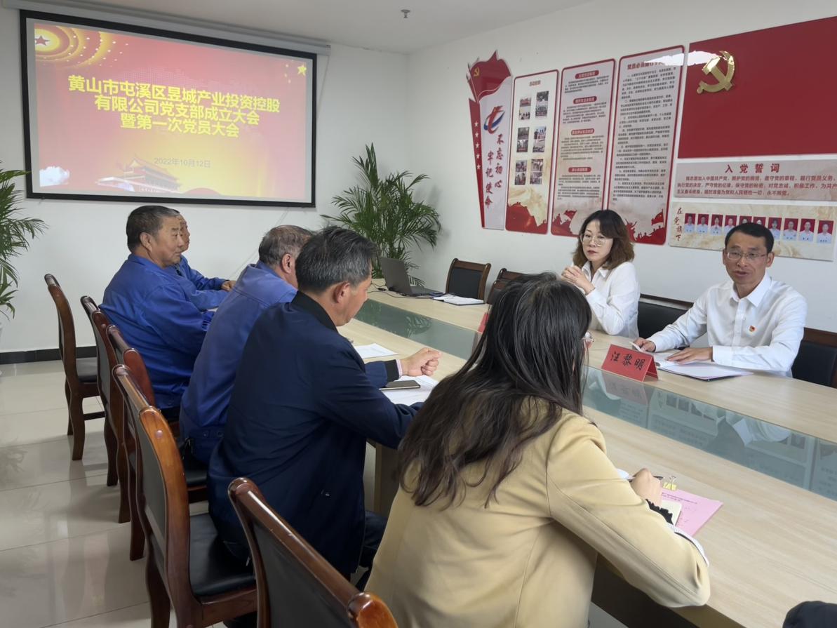 昱城產投黨支部第一次黨員大會順利召開