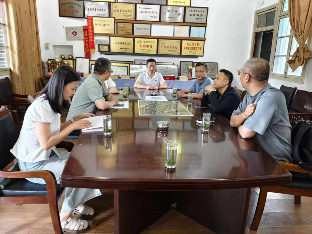 江蘇外聯(lián)采考察團到實驗茶場考察，共商茶產業(yè)合作新藍圖