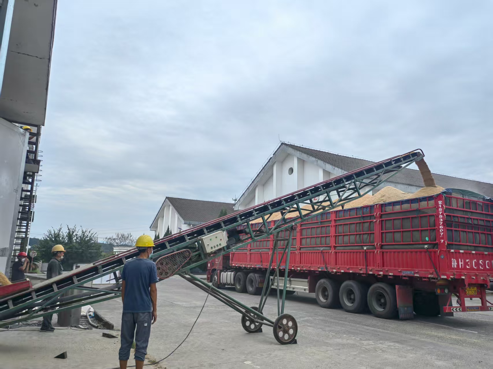 筑牢倉儲“安全線” 夯實輪換“基礎樁”——區(qū)國投集團扎實守好糧食安全關