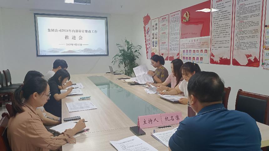 區(qū)國投集團(tuán)召開審計(jì)工作推進(jìn)會