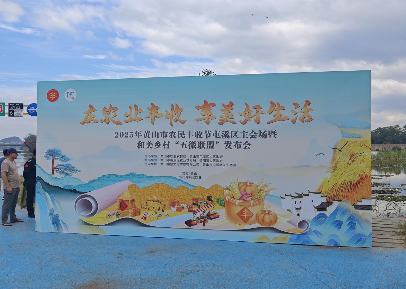 豐收節(jié)里飄茶香 “屯綠”香茗美名揚