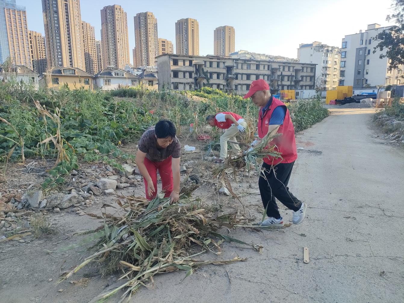 黨員進(jìn)社區(qū)：守護(hù)綠色家園，彰顯國(guó)企擔(dān)當(dāng)