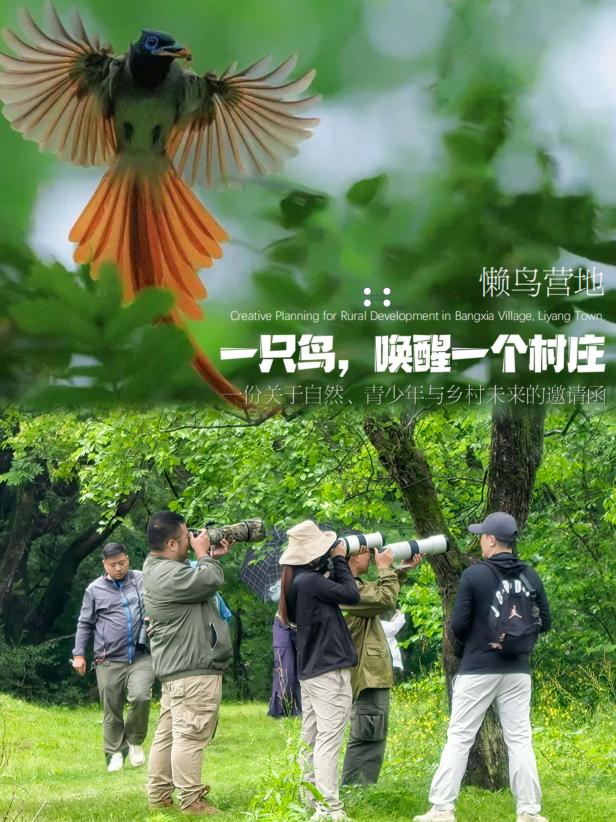 8000萬熱度炸屏！屯溪“護村小祖宗”聯(lián)動短劇頂級頭部平臺帶火綬帶鳥，短劇+文旅解鎖鄉(xiāng)村振興新密碼